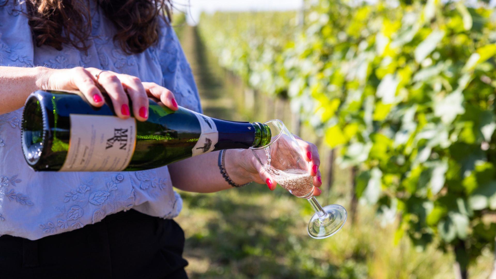 Person pouring a bottle of wine - credit Minerva Wine