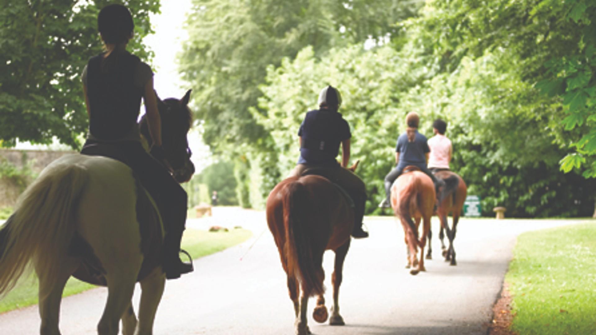 Horse Riding at Lucknam Park