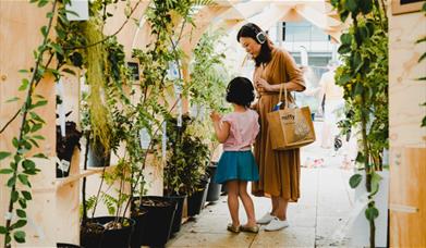 People in a green house