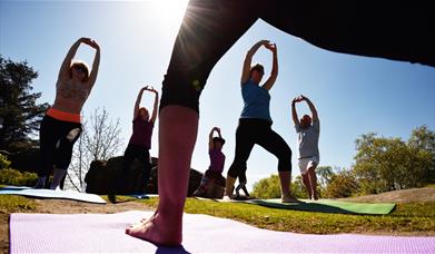 People in yoga poses outside in the sunshine