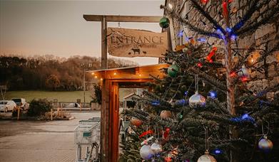 Newton Farm Festive Evening