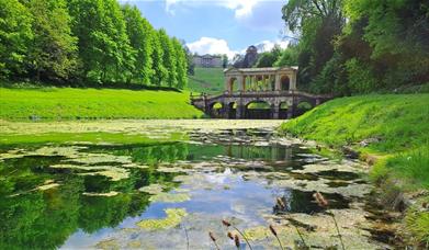 A view over the middle lake towards the Palladian Bridge on a sunny spring day.