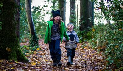 two children playing in winter woodland