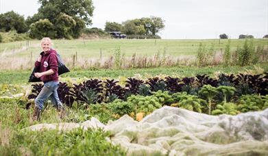 Kate- Head Grower at Grown Green