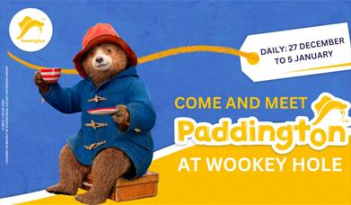 Twixmas with Paddington 