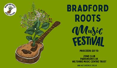 Bradford Roots Music Festival
