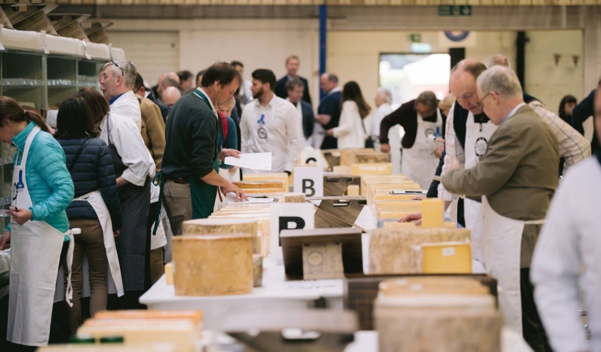 A group of table walking around tables laden with wheels of cheese