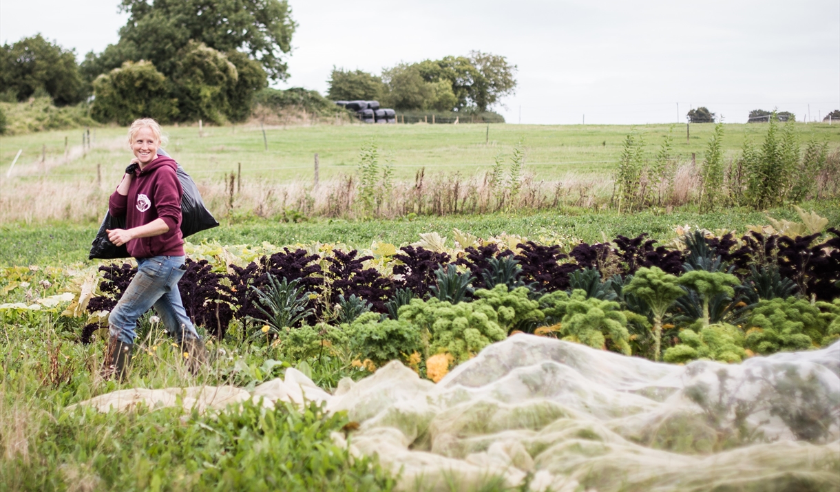 Kate- Head Grower at Grown Green