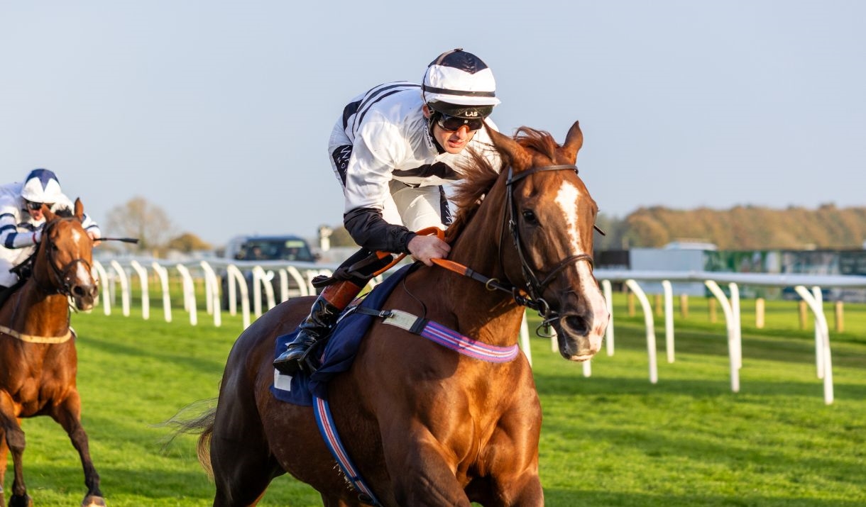 Horse racing at Bath Racecourse