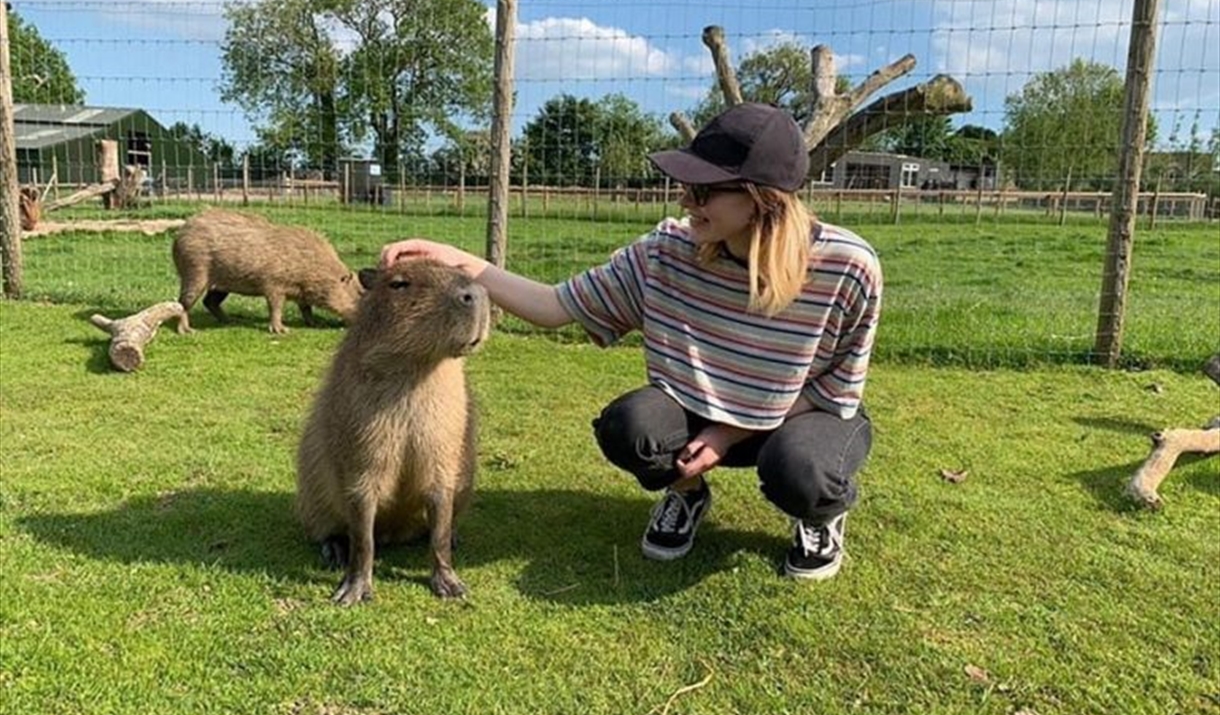 Chew Valley Animal Park
