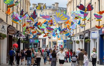 Southgate butterflies