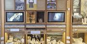 Museum of Bath Stone Display