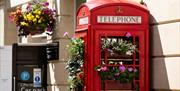 Flower telephone box