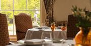 Laid table and restaurant interior with window view