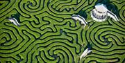 Longleat maze