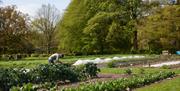 The no-dig garden at Homewood Hotel