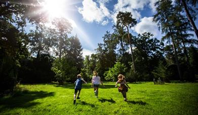 Westonbirt Arboretum - Summer - CREDIT Johnny Hathaway